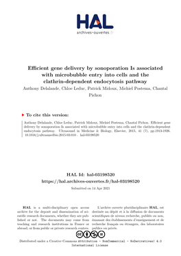 Efficient Gene Delivery by Sonoporation Is Associated With