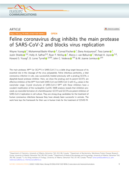 Feline Coronavirus Drug Inhibits the Main Protease of SARS-Cov-2 and Blocks Virus Replication