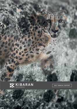Kibaran Annual Report 2017