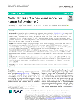 Molecular Basis of a New Ovine Model for Human 3M Syndrome-2 S