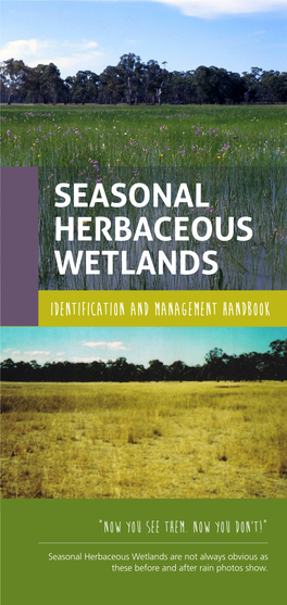 Seasonal Herbaceous Wetlands Identification and Management Handbook