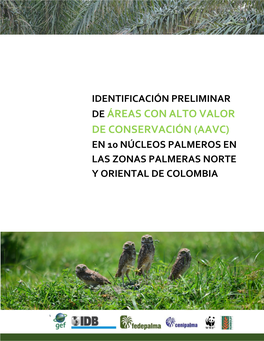 Identificación Preliminar De Áreas Con Alto Valor De Conservación (Aavc) En 10 Núcleos Palmeros En Las Zonas Palmeras Norte Y Oriental De Colombia