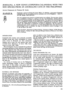 SARSIA Calanoida) with Two New Species from an Anchialine Cave in the 'Philippines