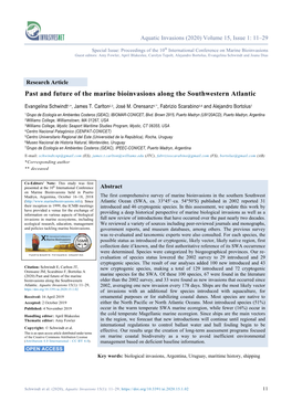 Past and Future of the Marine Bioinvasions Along the Southwestern Atlantic