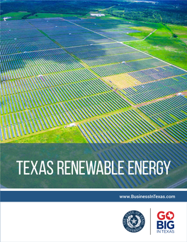 The Texas Renewable Energy Industry