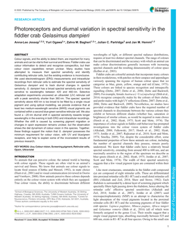 Photoreceptors and Diurnal Variation in Spectral Sensitivity in the Fiddler Crab Gelasimus Dampieri Anna-Lee Jessop1,2,‡, Yuri Ogawa3,*, Zahra M