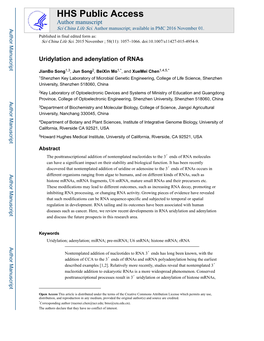 Uridylation and Adenylation of Rnas