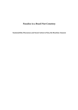 Paradise in a Brazil Nut Cemetery : Sustainability Discourses and Social Action in Pará, the Brazilian Amazon