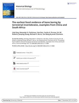 The Earliest Fossil Evidence of Bone Boring by Terrestrial Invertebrates, Examples from China and South Africa