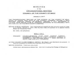 Minutes Organizational Meeting Council of The