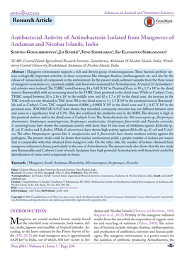 Antibacterial Activity of Actinobacteria Isolated from Mangroves Of