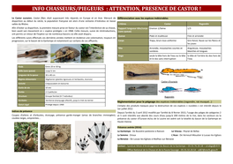 Info Chasseurs/Piegeurs : Attention, Presence De Castor !