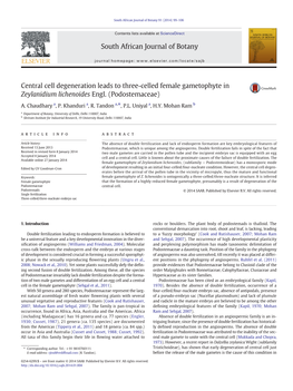 Central Cell Degeneration Leads to Three-Celled Female Gametophyte in Zeylanidium Lichenoides Engl