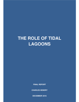 The Role of Tidal Lagoons