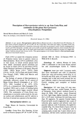 Description of Macroperipatus Valerioi N. Sp. Fron Costa Rica, and Cornrnents on the Genus Macroperipatus (Onychophora: Peripatidae)