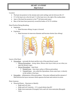 HEART ANATOMY High School