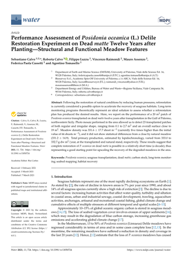 Performance Assessment of Posidonia Oceanica (L.) Delile Restoration Experiment on Dead Matte Twelve Years After Planting—Structural and Functional Meadow Features