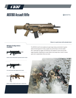 ARX160 Assault Rifle