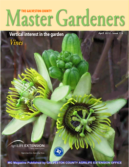 Vertical Interest in the Garden April 2012 - Issue 178 Vines