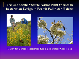 Pollination and Population Genetics