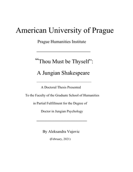 American University of Prague