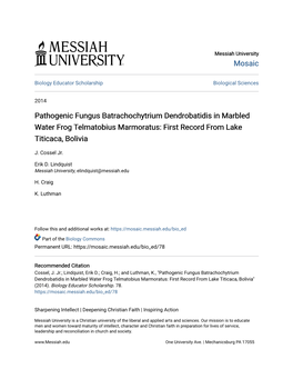 Pathogenic Fungus Batrachochytrium Dendrobatidis in Marbled Water Frog Telmatobius Marmoratus: First Record from Lake Titicaca, Bolivia