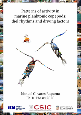 Olivares Thesis 2021.Pdf