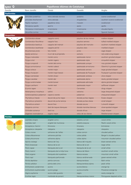 Papallones Diürnes De Catalunya