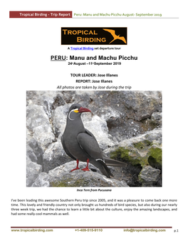 Peru: Manu and Machu Picchu August- September 2019
