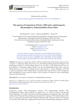 The Species of Campodorus Förster, 1869 and a Related Species (Hymenoptera, Ichneumonidae) from China