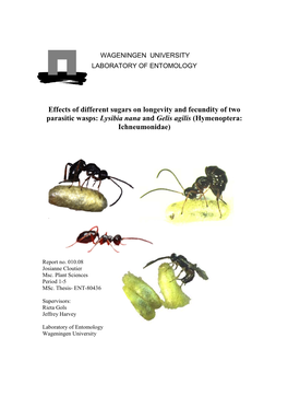 Effects of Different Sugars on Longevity and Fecundity of Two Parasitic Wasps: Lysibia Nana and Gelis Agilis (Hymenoptera: Ichneumonidae)