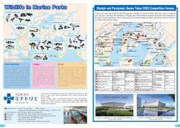 Wildlife in Marine Parks Olympic and Paralympic Games Tokyoshimbashi 2020 Competition Venues