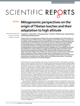 Mitogenomic Perspectives on the Origin of Tibetan Loaches and Their