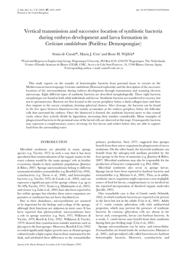 Vertical Transmission and Successive Location of Symbiotic Bacteria During Embryo Development and Larva Formation in Corticium Candelabrum (Porifera: Demospongiae)