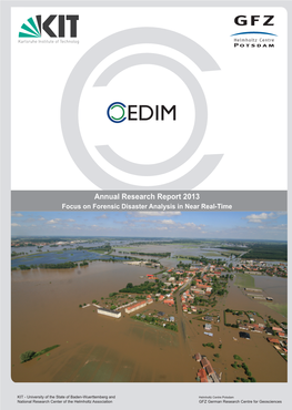 Annual Research Report 2013 Focus on Forensic Disaster Analysis in Near Real-Time