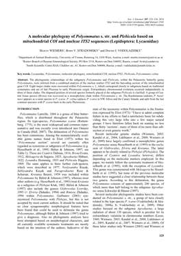 A Molecular Phylogeny of Polyommatus S. Str. and Plebicula Based on Mitochondrial COI and Nuclear ITS2 Sequences (Lepidoptera: Lycaenidae)