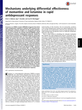 Mechanisms Underlying Differential Effectiveness of Memantine and Ketamine in Rapid Antidepressant Responses