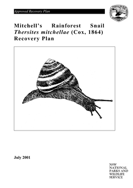 Mitchell's Rainforest Snail Thersites Mitchellae