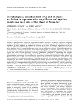 Morphological, Mitochondrial DNA and Allozyme Evolution in Representative Amphibians and Reptiles Inhabiting Each Side of the Strait of Gibraltar