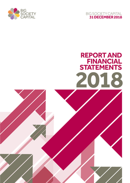 Big Society Capital 2018 Financial Statements