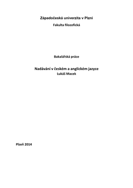 Nadávání V Českém a Anglickém Jazyce Lukáš Macek