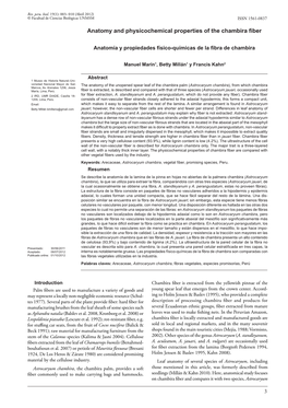 Anatomy and Physicochemical Properties of the Chambira Fiber