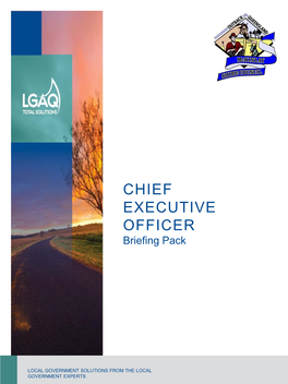 CHIEF EXECUTIVE OFFICER Briefing Pack