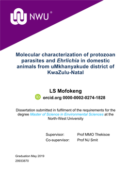 Molecular Characterization of Protozoan Parasites and Ehrlichia in Domestic Animals from Umkhanyakude District of Kwazulu-Natal