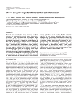 Role of Hes1 in Hair Cell Differentiation 4553 Reported (Zheng Et Al., 1999A)