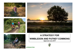 A STRATEGY for WIMBLEDON and PUTNEY COMMONS Approved June 2017