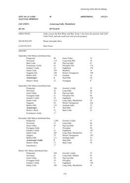 Armstrong Gully Alluvial Sinkings SITE NO. & NAME