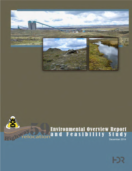 Environmental Overview Report and Feasibility Study