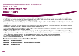 Site Improvement Plan Dorset Heaths