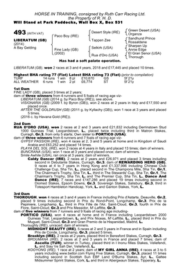 HORSE in TRAINING, Consigned by Ruth Carr Racing Ltd. the Property of R. H. D. Will Stand at Park Paddocks, Wall Box X, Box 531